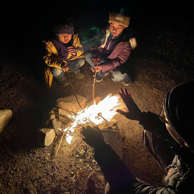 Apricot Oasis Delight: Camping in Hunza Valley