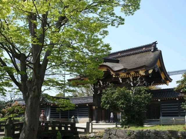 【高岡の名刹】（富山県高岡市　旧国名：越中）
