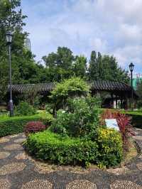 【九龍寨城公園:香港】丁寧に手入れされている綺麗な庭園🌳