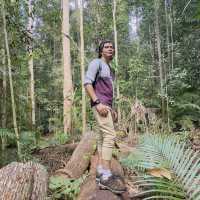 My Taman Negara Adventure!