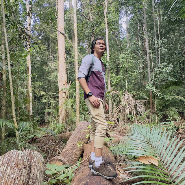My Taman Negara Adventure!