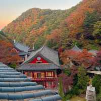 고즈넉한 가을을 제대로 즐길 수 있는 절 여행지