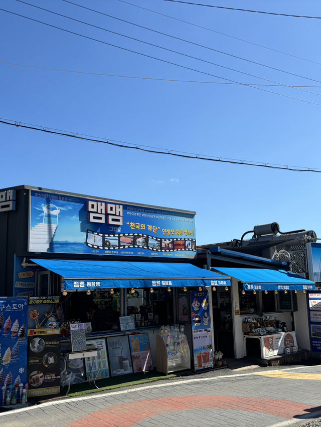 매미없는 매미성이 핫플인 이유