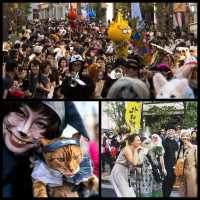 「東京小法國」神樂阪：動静都有，文青最愛的街道景點