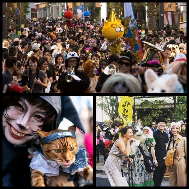 「東京小法國」神樂阪：動静都有，文青最愛的街道景點