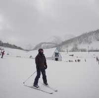 Kiroro Ski