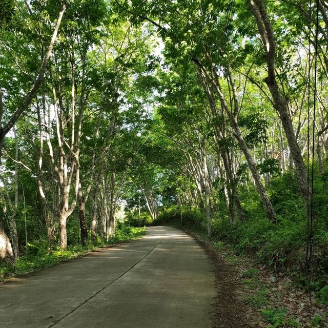 เที่ยวเกาะยาวน้อย จ.พังงา