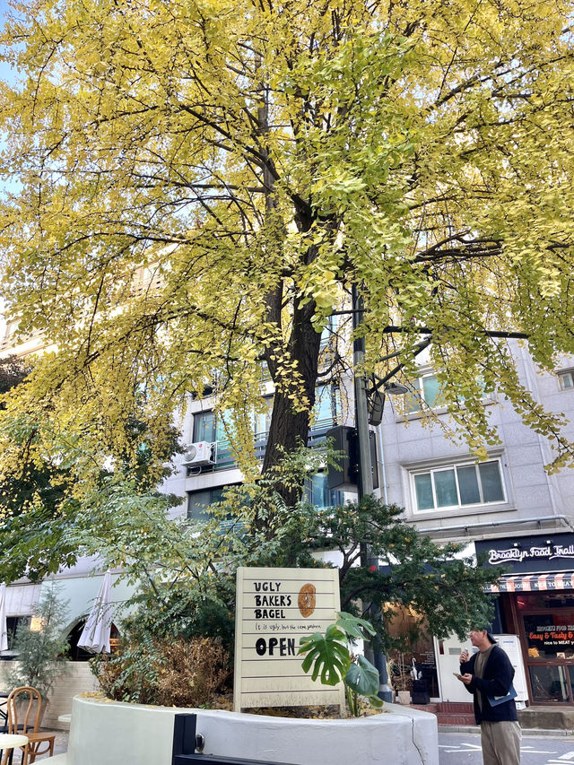 나만 알고 싶은 신당 은행뷰 1열 직관 카페💛