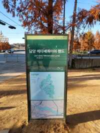 늦가을 즐기기 좋은 담양 가을여행지