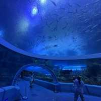 珠海澳門四天三夜自由行