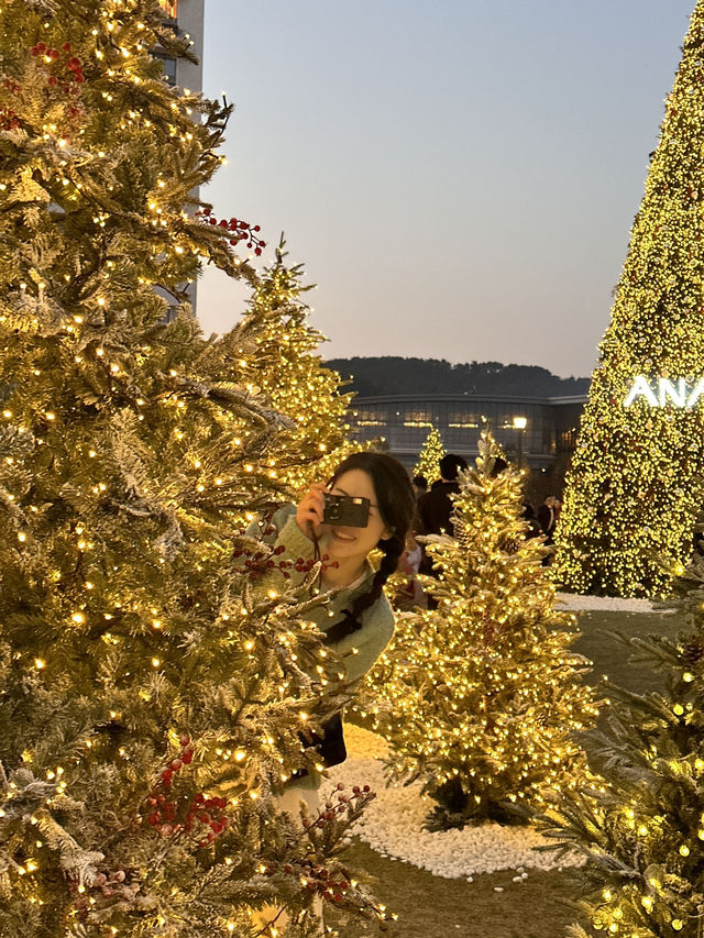 한국 부산🇰🇷 바다와 트리를 한번에 만날 수 있는 ‘빌라쥬 드 아난티🎄‘