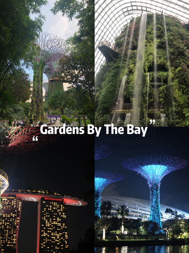 Gardens By The Bay แลนด์มาร์คที่ห้ามพลาดในสิงคโปร์