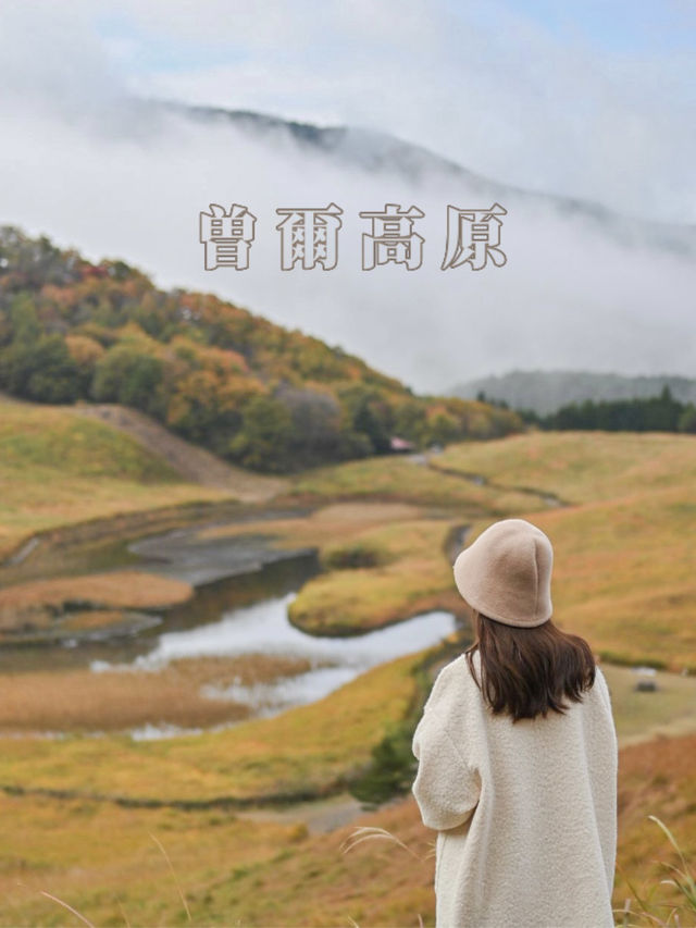 【奈良】すすきの名所〜曽爾高原〜