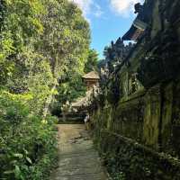 Campuhan Ridge Walk: A Scenic Escape in Ubud