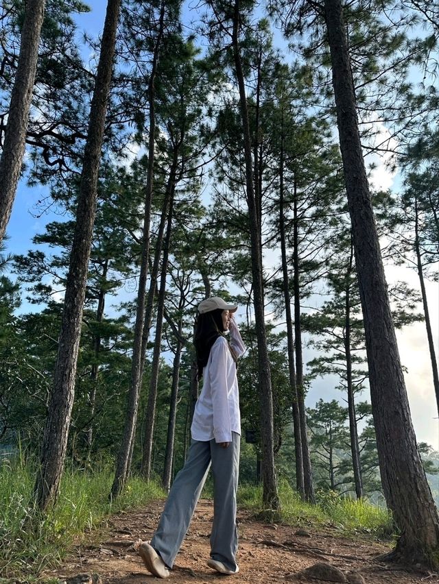 ดอยสุเทพ-ปุย ไปง่ายนิดเดียว #คนเดียวก็เที่ยวได้