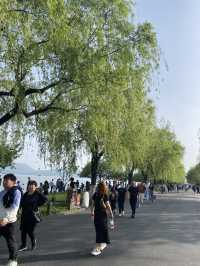 Day Trip to Hangzhou West Lake: A Serene Escape