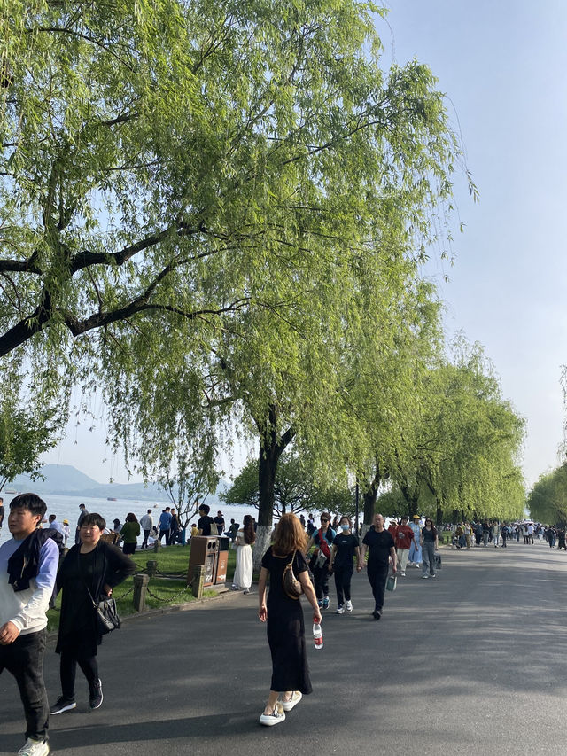 Day Trip to Hangzhou West Lake: A Serene Escape