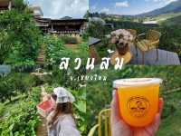 แวะมาเติมความสดใส ในสวนส้ม🍊จังหวัดเชียงใหม่