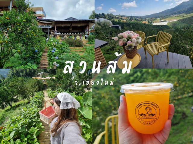 แวะมาเติมความสดใส ในสวนส้ม🍊จังหวัดเชียงใหม่