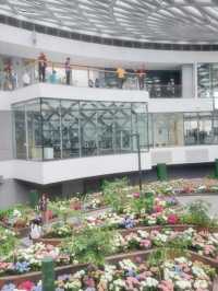 ดอกทิวลิปเมืองหนาวที่ Miracle of Natural 🩷🌷🌸💐