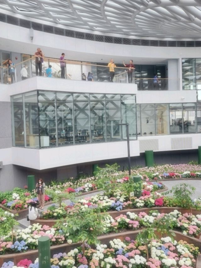 ดอกทิวลิปเมืองหนาวที่ Miracle of Natural 🩷🌷🌸💐