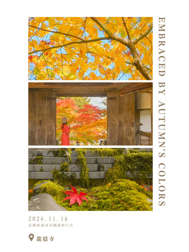 【京都】京都、穴場の絶景！紅葉が見事なお寺