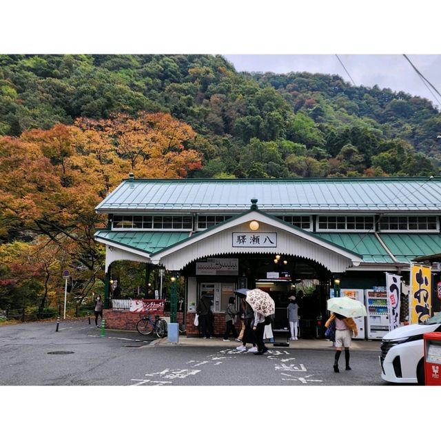 賞楓心靈之旅