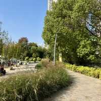 Mengqing Garden A Green Oasis Along Suzhou Creek