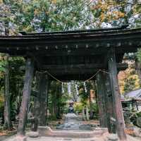 窪八幡神社(大井俣窪八幡神社)