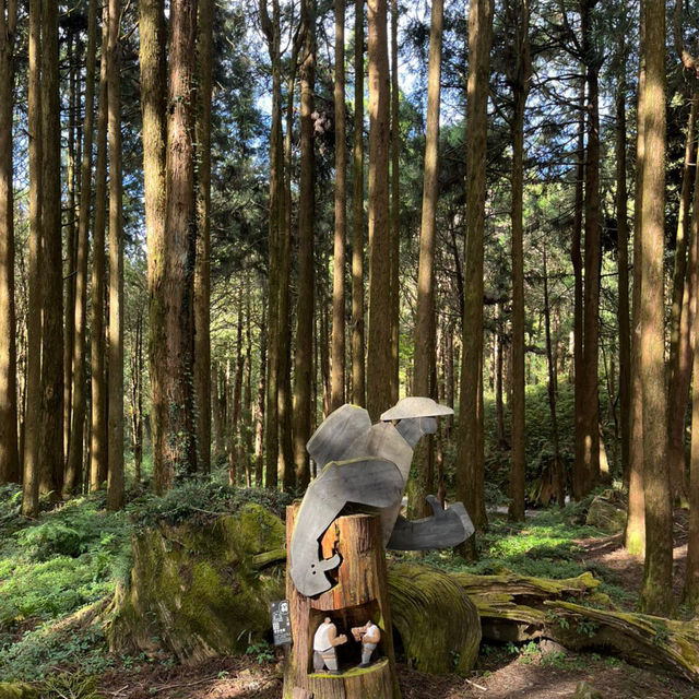 Explore the magical Alishan, Taiwan