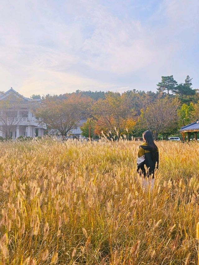 가을 억새보기 좋은 곳