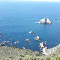 Discover the Splendid View of 17 miles drive at California