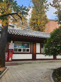 여유로움이 느껴지는 대구 히든 플레이스 경상감영공원🌿