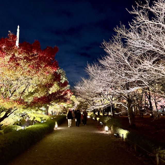 怎能抗拒「東寺夜楓」的倒影😍