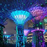 Illuminating Nights: The Aurora of Gardens by the Bay