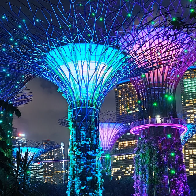 Illuminating Nights: The Aurora of Gardens by the Bay