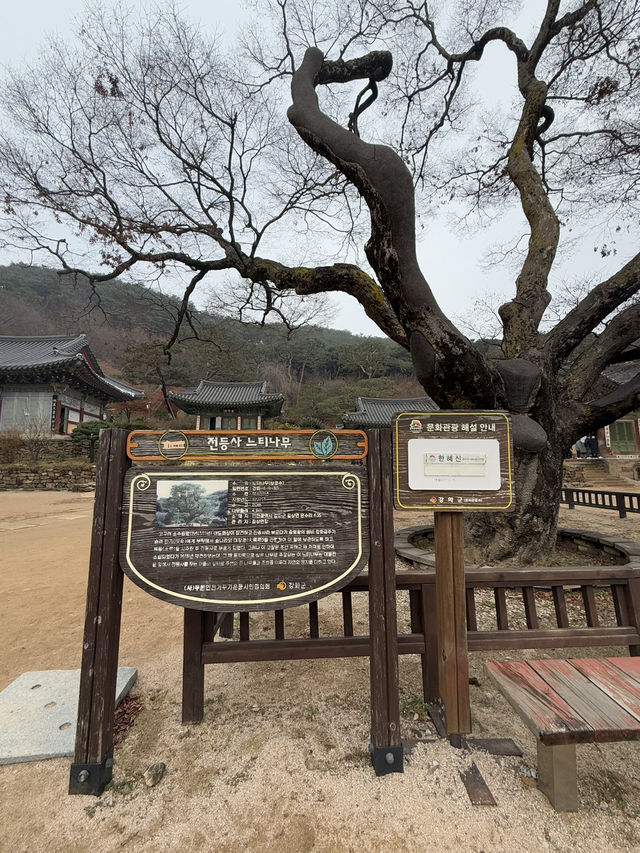 한 해를 차분히 마무리 하기 좋은 곳 ‘전등사’