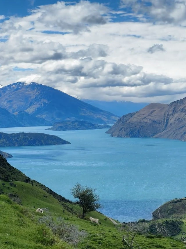Trip to Wanaka