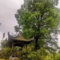 以風水佈局的水口林園第一村：唐模景區