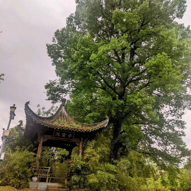 以風水佈局的水口林園第一村：唐模景區
