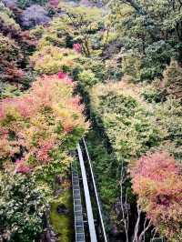 Hwadam Botanic Garden in late October