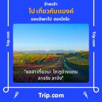 Mikka Coffee • ร้านมิกก้า