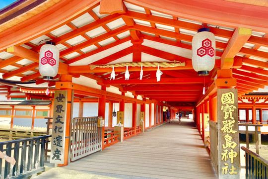 1mi3e224x8ycay39l8994_R_600_40