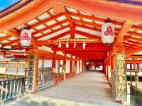 🇯🇵【広島】世界文化遺産！厳島神社in宮島✨