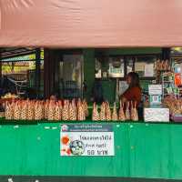 น้ำพุร้อนสันกำแพง แม่ออน เชียงใหม่