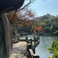 金灣金山公園：陽光下的自然☀️