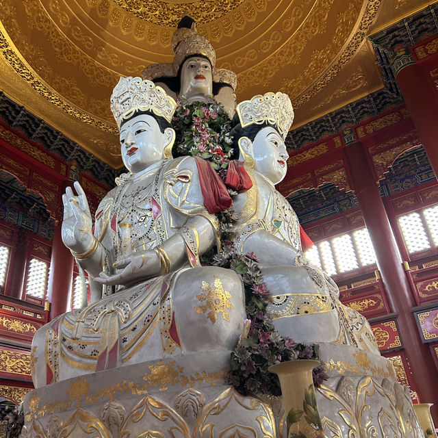 🇨🇳봉래 신비로운 삼선산풍경구의 내부와 귀여운 동물들🦢🐈‍⬛