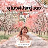 อุโมงค์ดอกประดู่แดง ก่อนขึ้นเขาใหญ่ 
