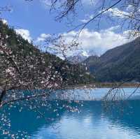 Chengdu 6 days - Jiuzhaigou