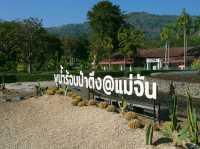 มาแช่น้ำแร่..น้ำพุร้อนป่าตึง